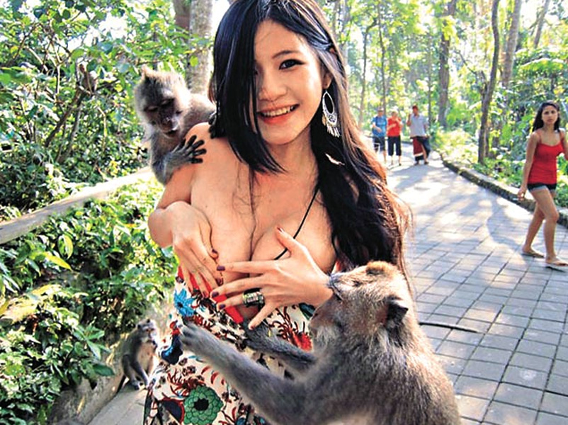 猴子扯掉女游客上衣 猴子扒美女衣服图片