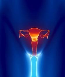 女人为什么要做卵巢保养 女人做卵巢保养的重要性