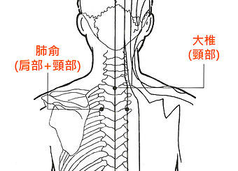 大椎穴位的准确位置图 大椎穴位图 大椎穴